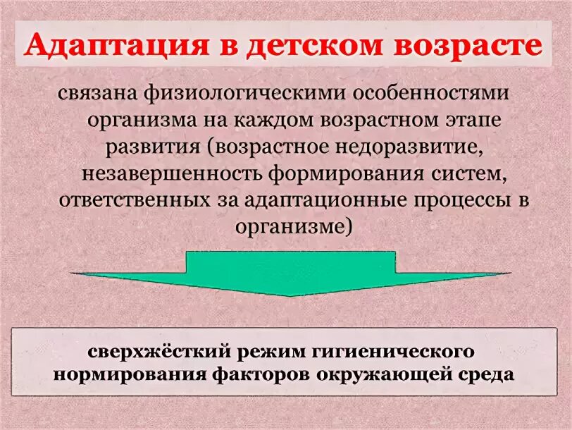 Особенности адаптации младшего возраста. Особенности адаптации младшего возраста