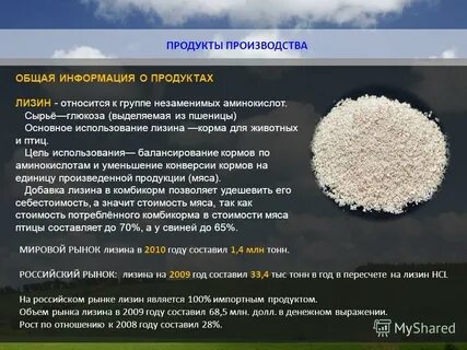 Лизин аминокислота свойства и роль в организме