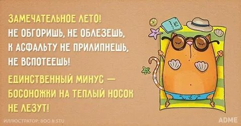 Лето цитаты прикольные