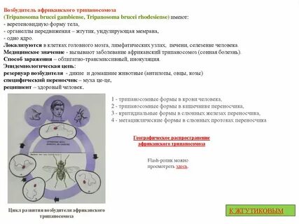 Хозяин возбудителя