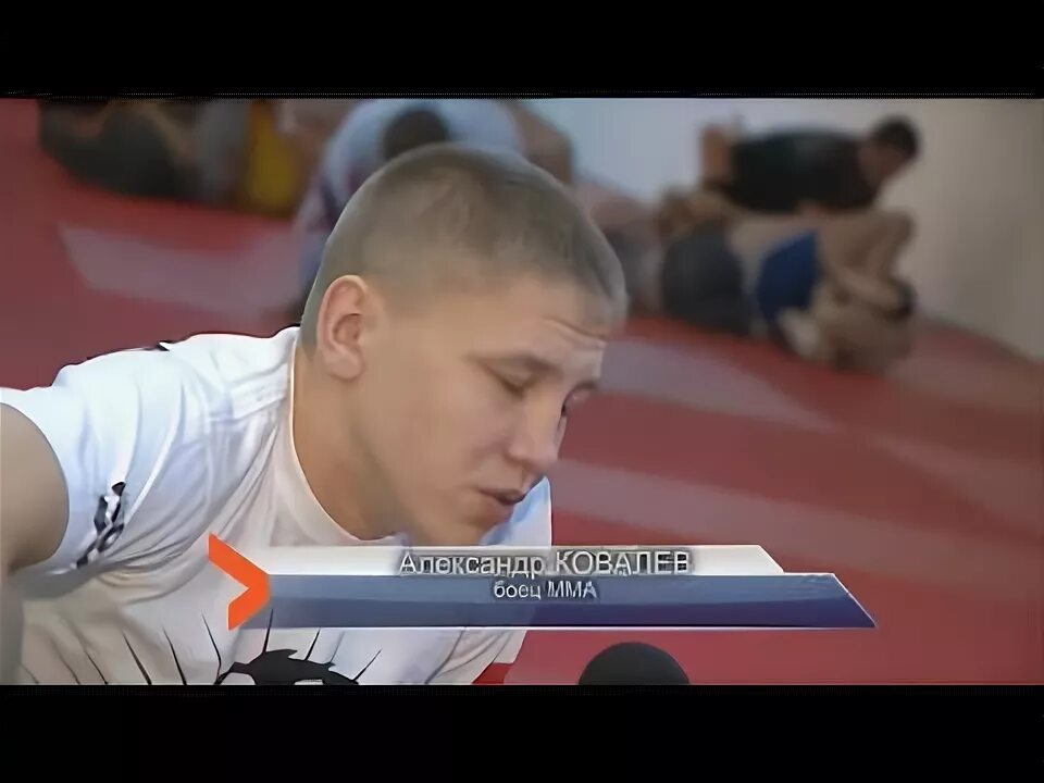 Трк могилев. Могилевская мма.