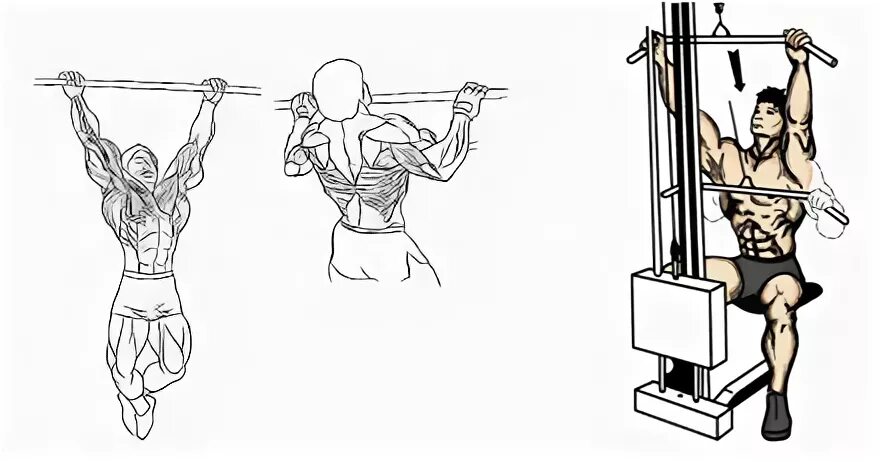 Подтягиваниями блок. Чертежи тяга вертикального блока. Подтягивания широким хватом за голову техника. Подтягивания мышцы задействованы. Тяга вертикального блока хват молот.