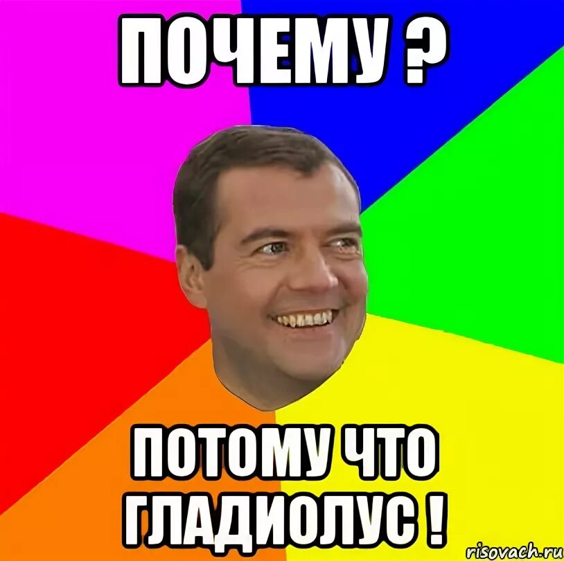 Потому что потому мем. Почему потому что. Почему почему потому. Не меньше почему потому что. Это потому что кто то много ест.