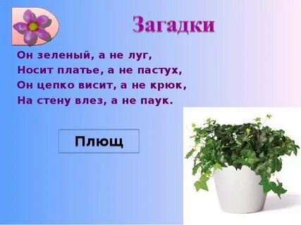 Загадки горшочек