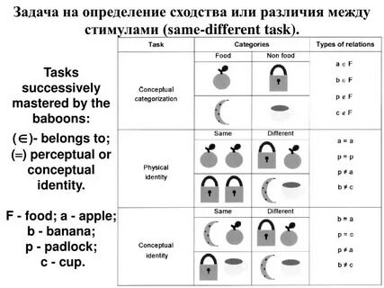 Определенное сходство