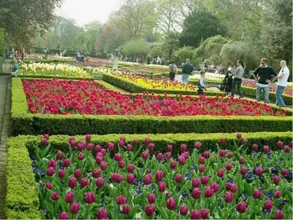Holland park фото