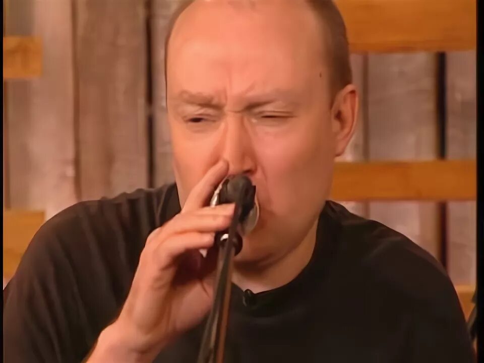 Жимолость лаэртский. Жимолость лаэртский. Жимолость лаэртский. Жимолость лаэртский. Жимолость лаэртский.