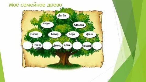 Мое древо