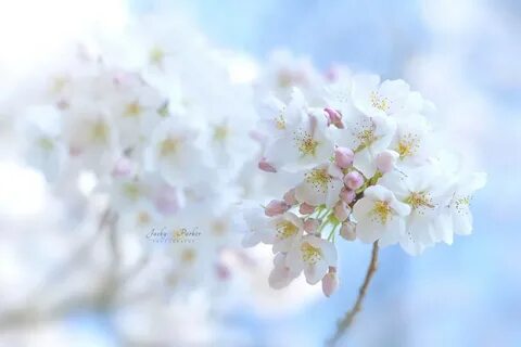 Spring now
