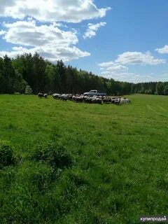 Получить участок в екатеринбурге