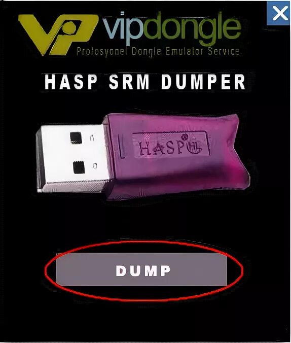 Драйвер hasp для windows. Sentinel флешка. sentinel hasp hl. usb hasp. hasp srm.