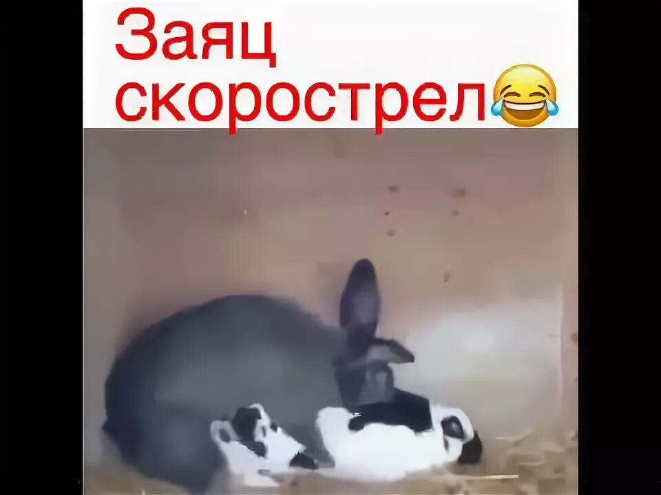 Как перестать быть скорострелом