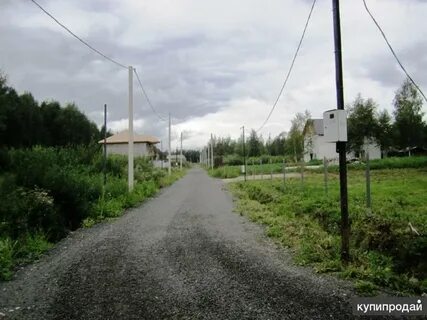 Деревня ногинск