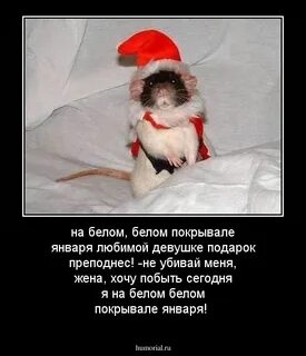 На белом января текст