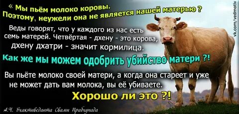 Молитва корова мусульманская слушать