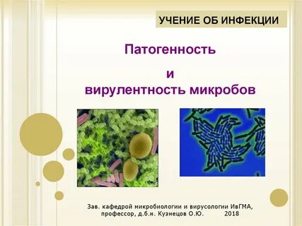 Учение об инфекции микробиология