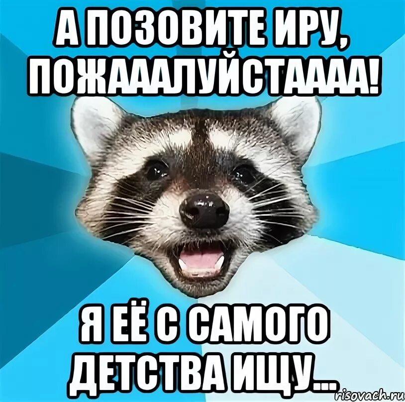 Енот Каламбурист. Енот Мем. Мемы с енотами. Енот Ира