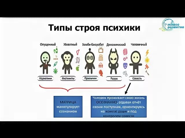 Тип строй