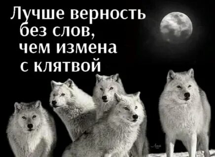 Когда будет год волка