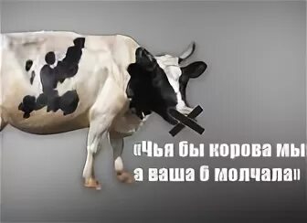 корова мычит картинка для детей. чья бы корова мычала а твоя бы молчала продолжение. бык производитель карикатура. поговорка чья бы корова мычала а ваша молчала. чья бы корова.