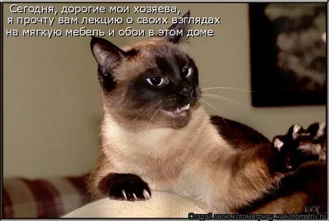 Ну посмотри на меня и