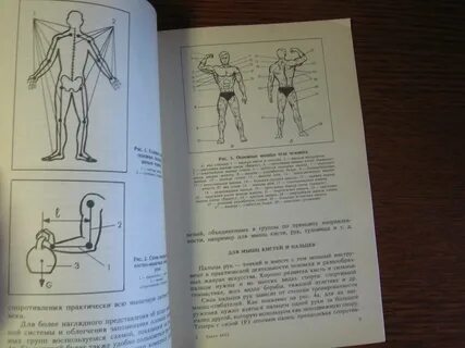 Гимнастические упражнения без снарядов