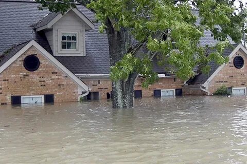 Lands flooded