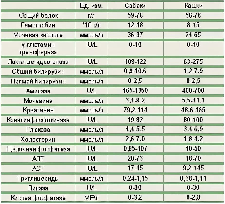 Биохимический анализ крови у собак норма. Таблица показателей биохимического анализа крови у собак. Нормативы биохимических показателей крови собак. Биохимическое исследование крови собак норма.