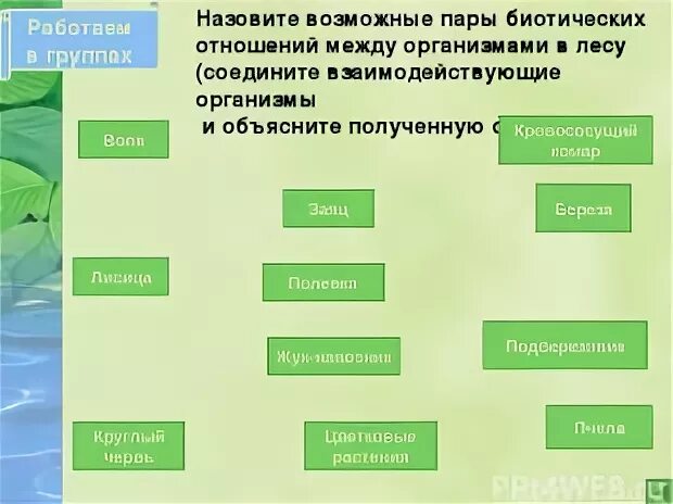 Биотические отношения смешанного леса. Конкурентные отношения между организмами. Конкурентные отношения примеры. Экологические факторы живой природы биотические. Типы биотических взаимодействий схема.