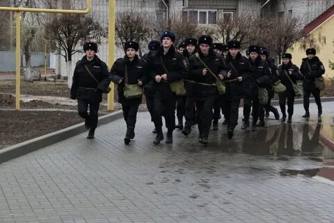Отряд собирать