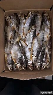 Продам вяленая рыба