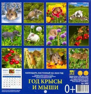 Календарь крыс
