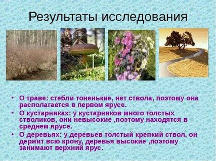 Результат деятельности растений