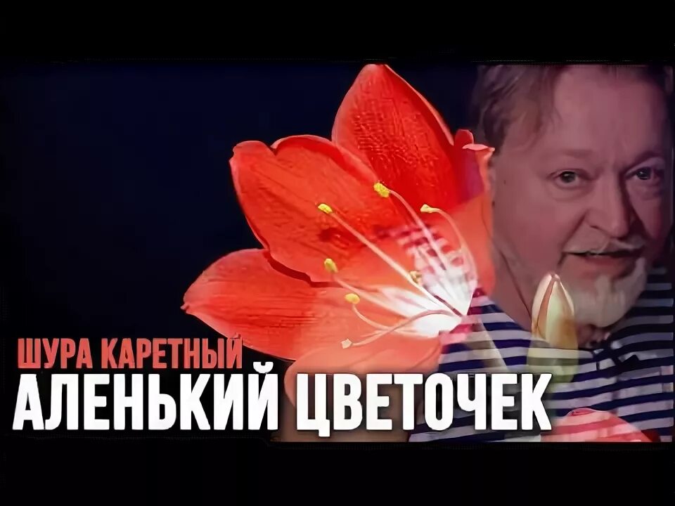 Аксаков аленький цветочек ульяновск. Цветочек сказка аленький шура. Аленький цветочек автор. Сказка про цветочек. Аленький цветочек 2д.