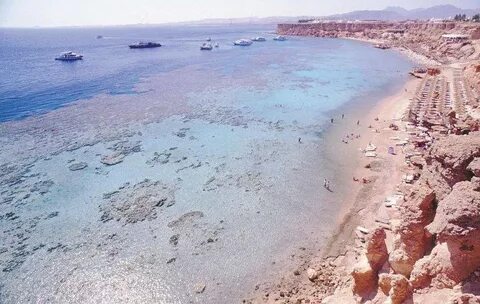 Turquoise beach отзывы