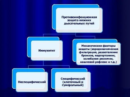 Механические факторы защиты