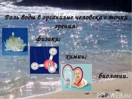 Вода в биологии