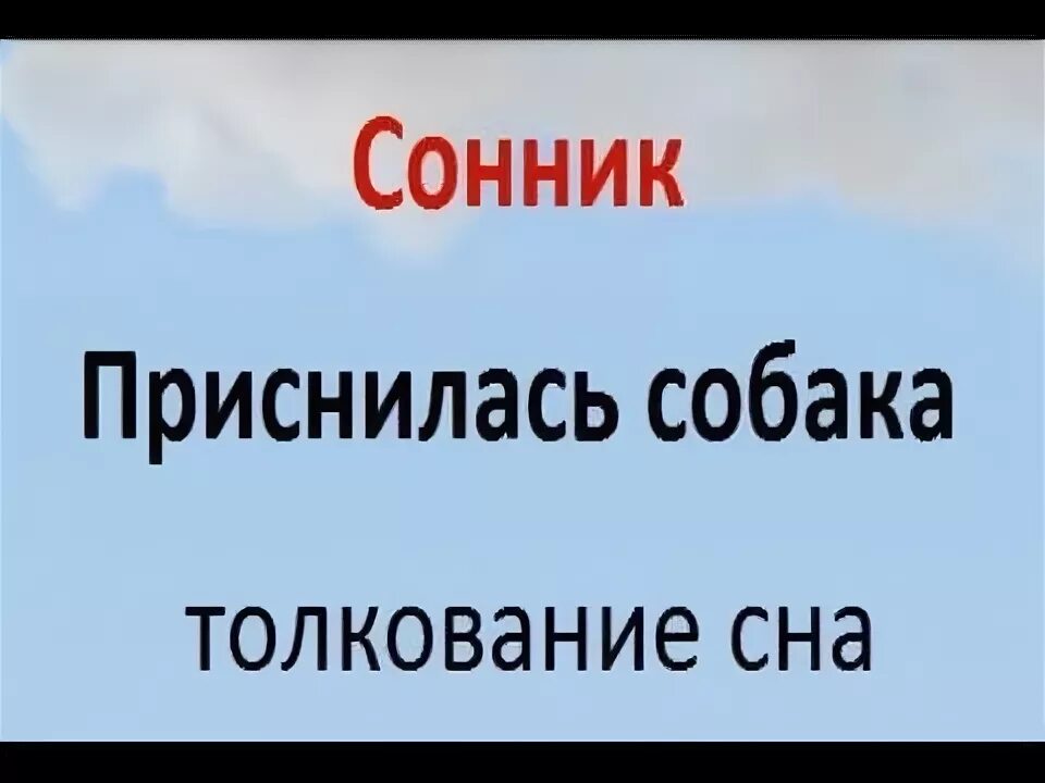 К чему снится собака умирает во сне. Сонник-толкование снов к чему снится собака. Толкование сна к чему снится собака. Увидеть во сне собаку к чему. Сонник к чему снится собака.