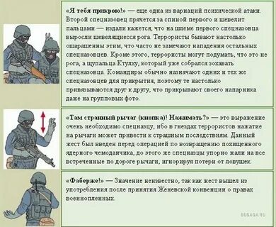 Боевой язык