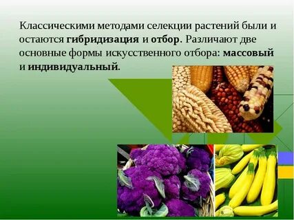 Новые методы селекции растений