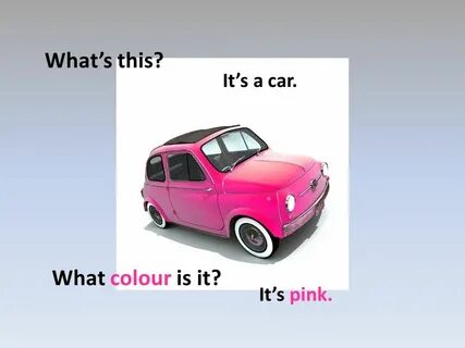 What the car