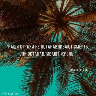Жизнь не останавливается