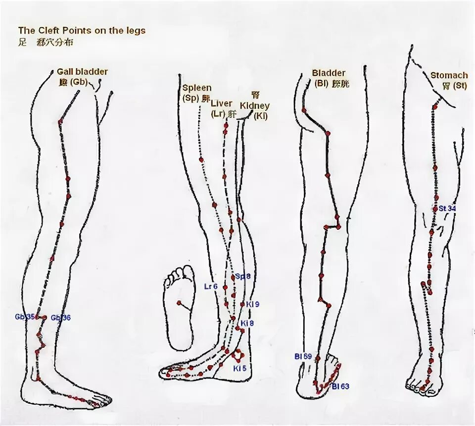 Leg point