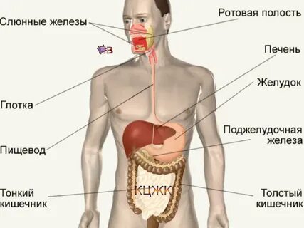 Где находится собеседник