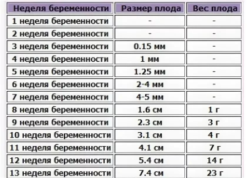 17 недель размер плода. Размер эмбриона по неделям таблица. Размер эмбриона на 7 акушерской неделе. 6 Недель акушерской беременности размер плода. Размер плода на 5 неделе беременности.