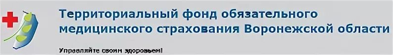 Фонд обязательного медицинского страхования санкт петербург