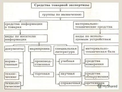 Группы экспертиз