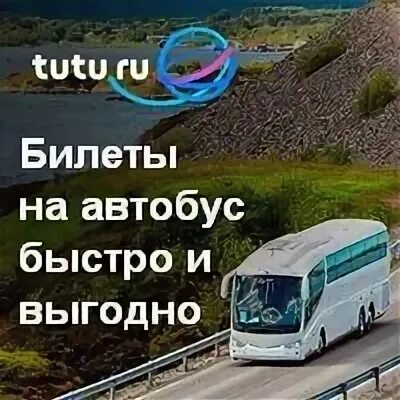 Туту автобусы