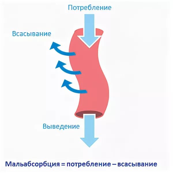 Мальабсорбция проявления. Патогенез мальабсорбции. синдромы нарушения всасывания в тонком кишечнике. мальабсорбция кишечника симптомы. нарушением процессов всасывания в кишечнике..