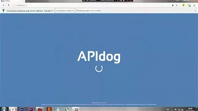 Apidog